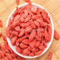 Organic Goji Berries Fruit Dried Wolfberry